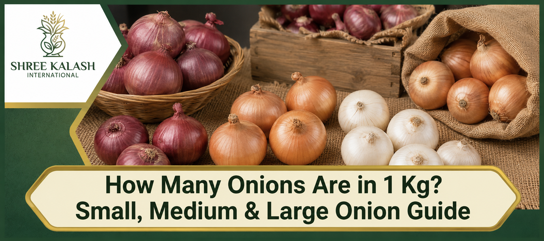 How Many Onions Are in 1 Kg? Small, Medium & Large Onion Guide